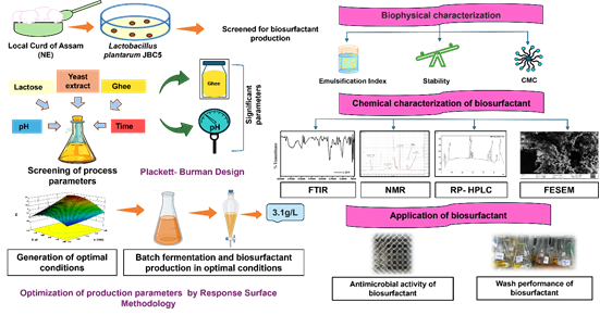 Lactobacillus plantarum JBC5